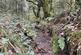 Additional image 6 of Coed Ffordd Pererin, Llanybri SA33