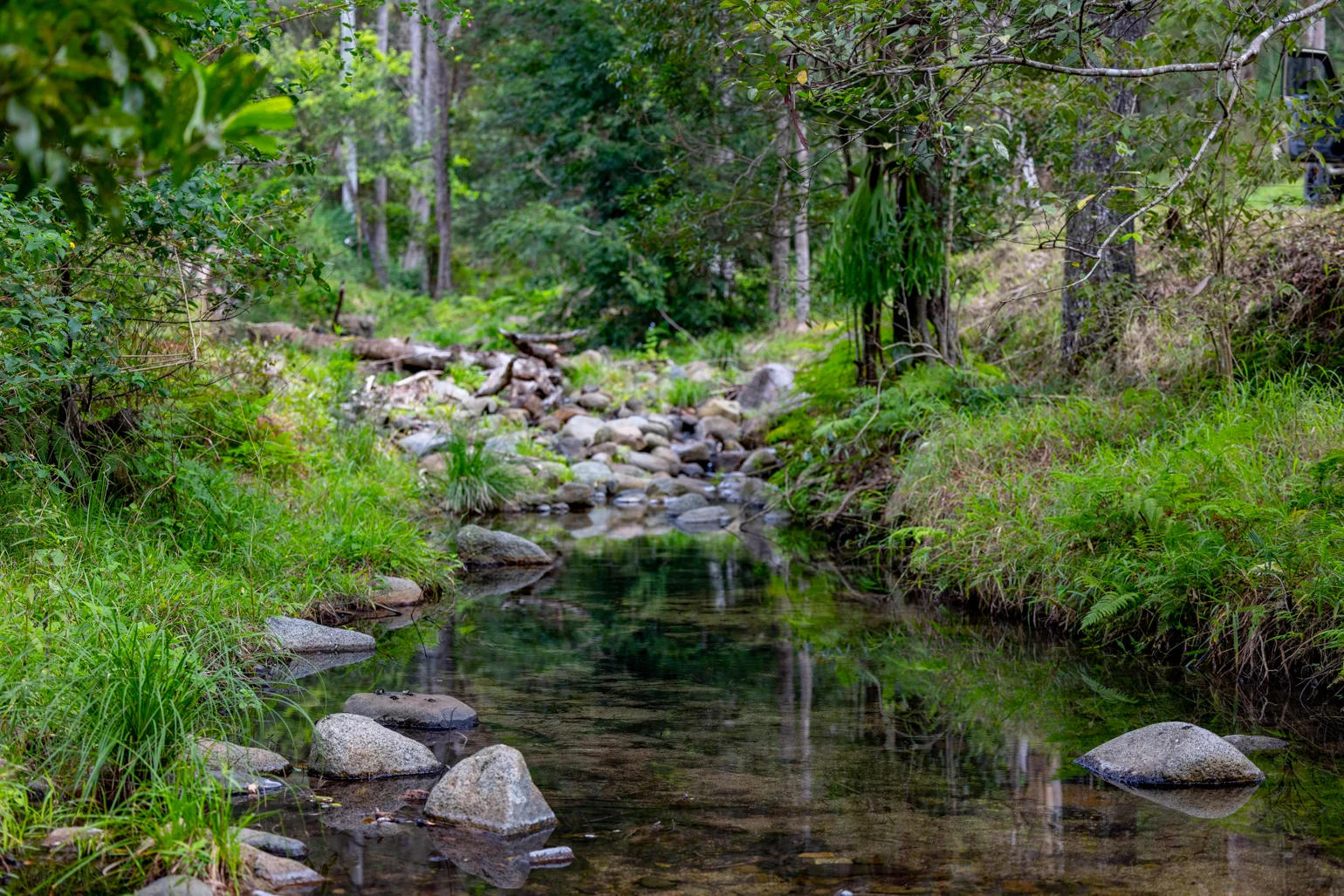 Additional image 26 of 196 Broken Bridge Road, Conondale QLD 4552