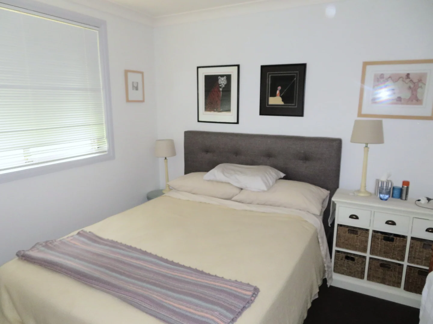 259 Bentinck Street, Bathurst NSW 2795 photo 4