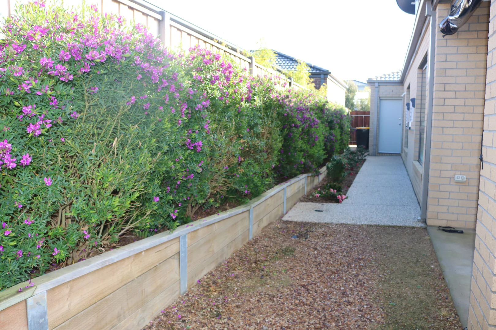 Additional image 13 of 84 Merrijig Dr, Torquay VIC 3228