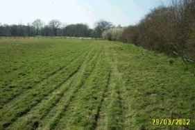 Additional image 10 of Land for saleCufaude Lane, Tadley RG26