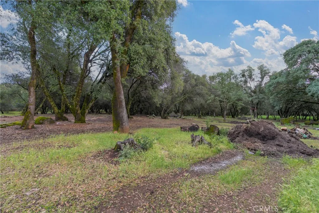 Additional image 50 of 1768 Swedes Flat Road, Bangor, CA 95914