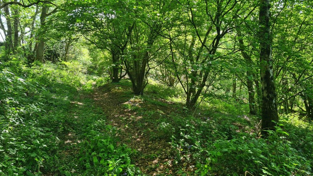 Additional image 10 of Land for saleFarley Heath, Albury, Guildford GU5
