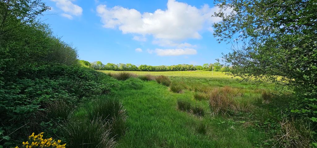 Additional image 10 of Land for saleHollacombe, Holsworthy EX22
