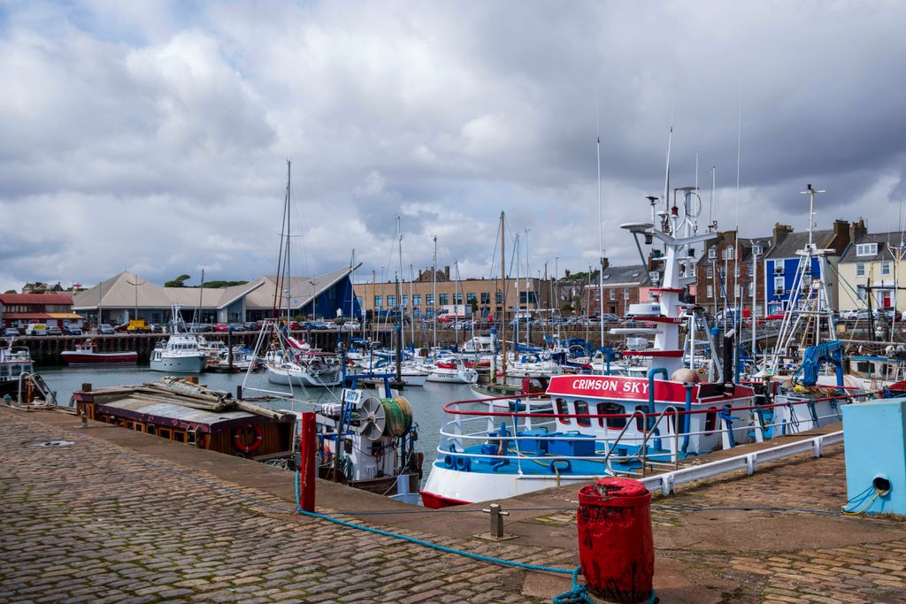 Additional image 16 of 2 bed flat for saleCharles Avenue, Arbroath DD11