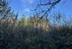 Additional image 8 of Coed Ffordd Pererin, Llanybri SA33