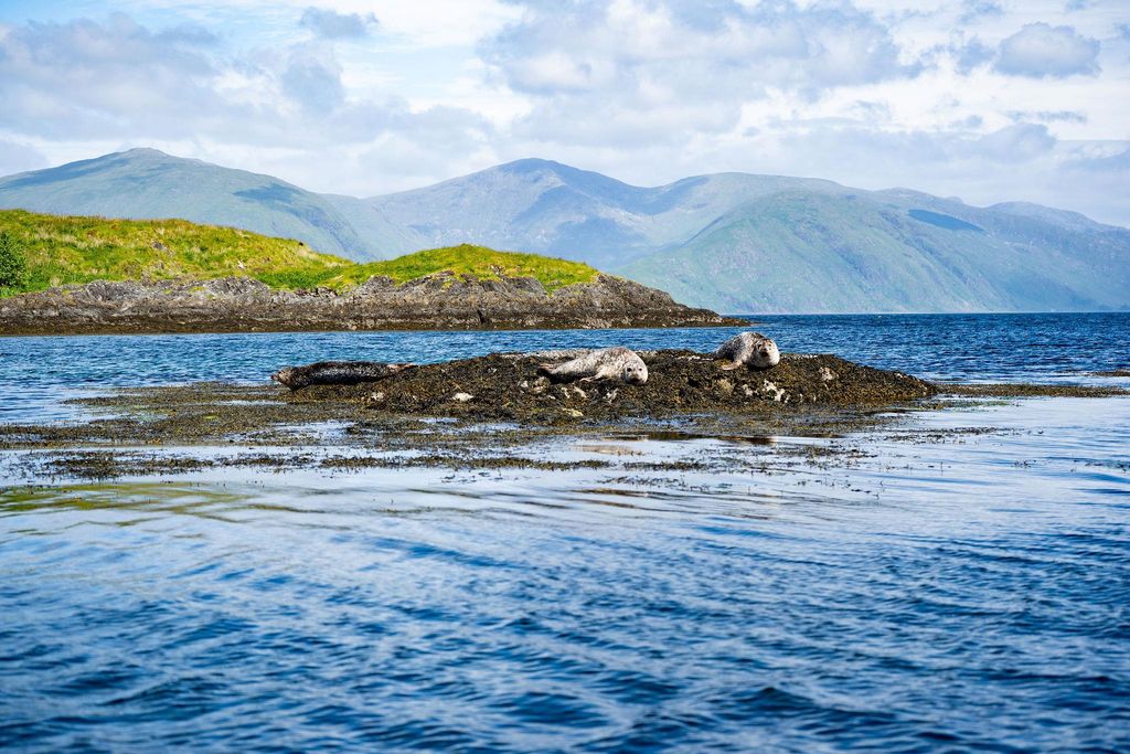 Additional image 3 of Property for saleLismore, Oban, Argyll And Bute PA34