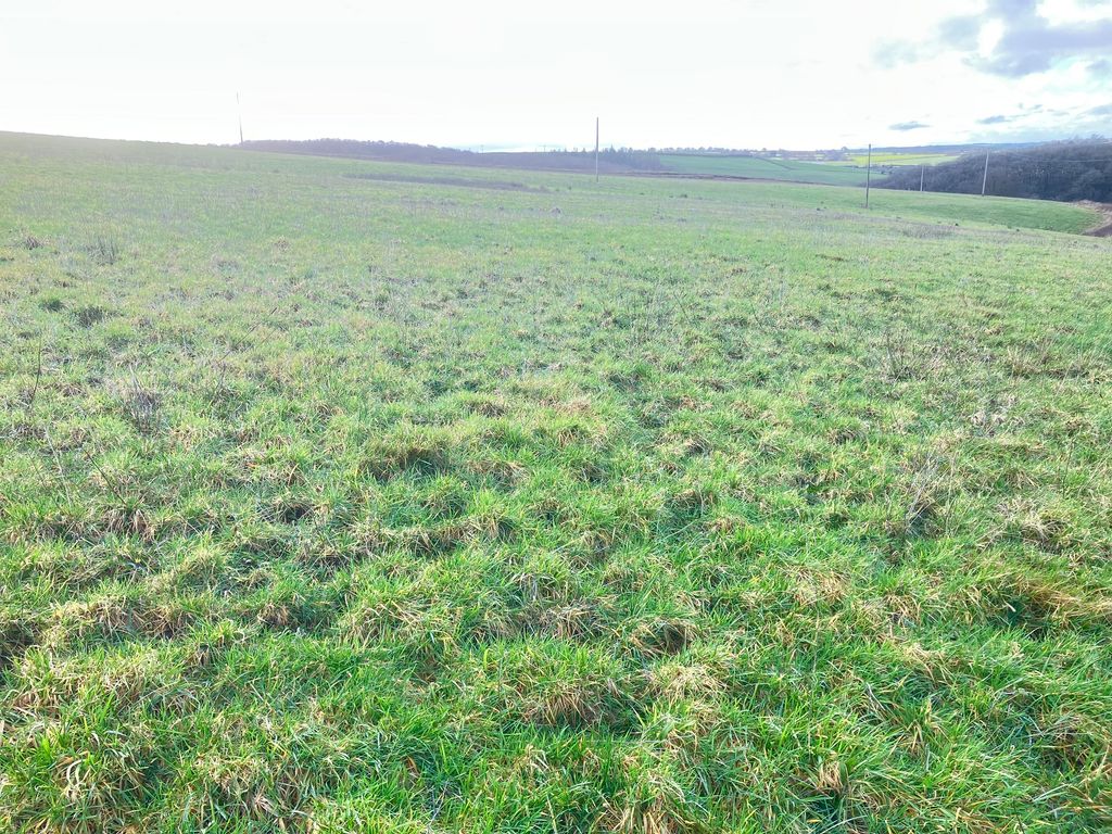 Additional image 3 of Land for saleRoborough, Winkleigh EX19