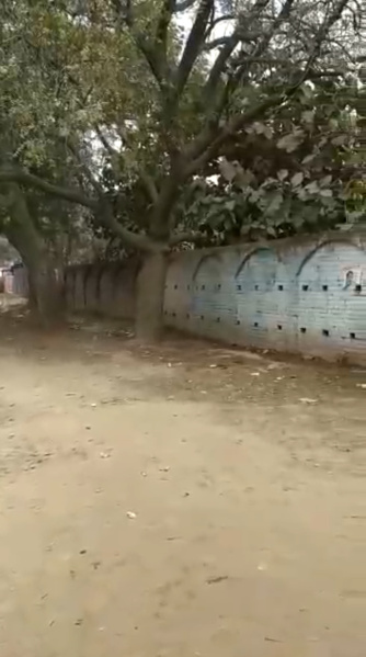 Additional image 3 of Junab Ganj, Lucknow