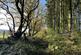 Additional image 7 of Coed Ffordd Pererin, Llanybri SA33