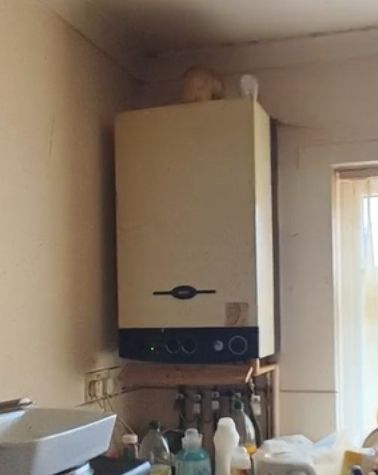Additional image 11 of 1 bed flat for saleCollege Road, Ashington NE63