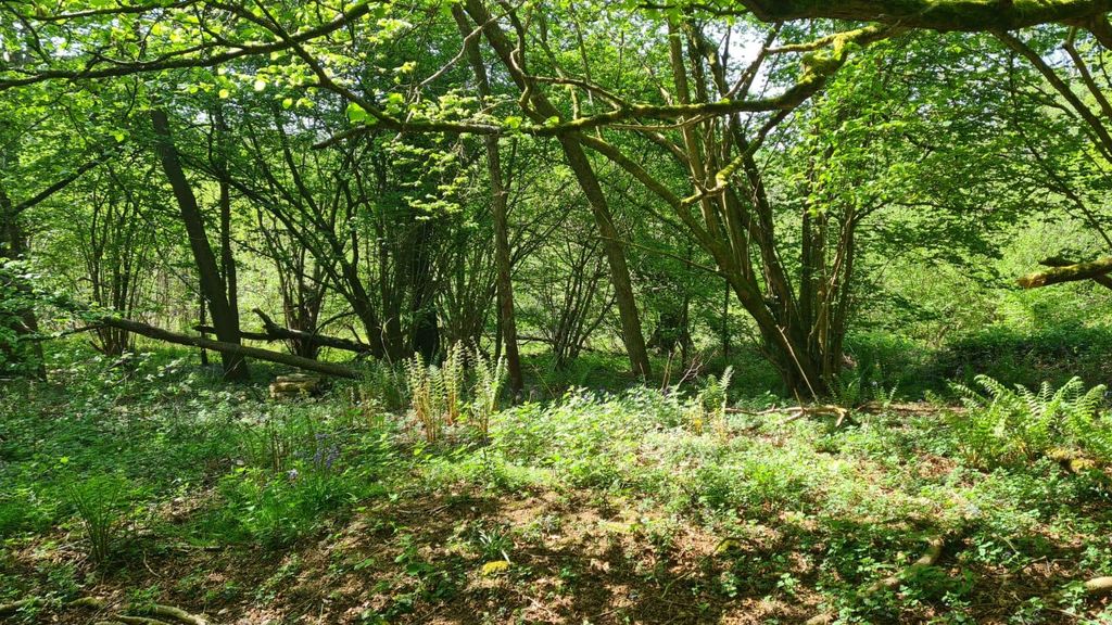 Additional image 6 of Land for saleFarley Heath, Albury, Guildford GU5