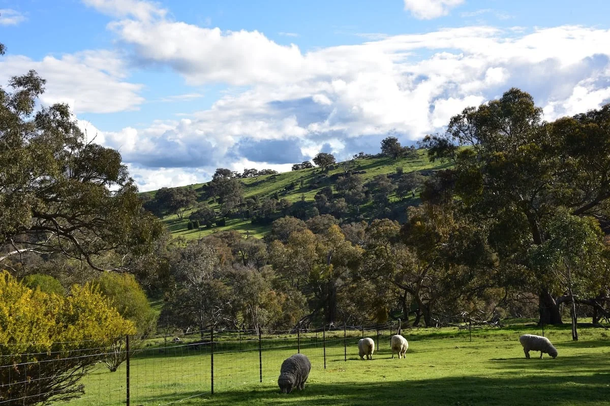 Additional image 14 of 130 Red Gum Lane, Frogmore NSW 2586