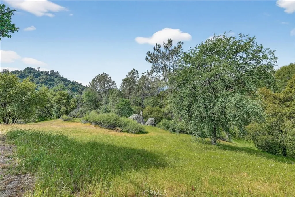 3310 Deer Run Rd, Mariposa, CA 95338