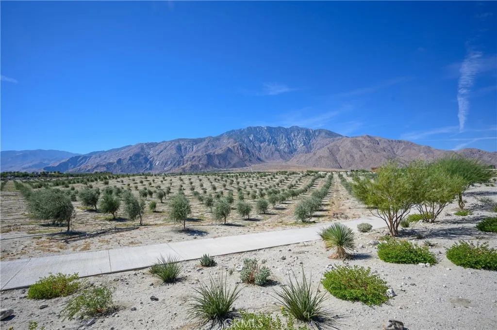 Additional image 66 of 784 Flamingo Way, Palm Springs, CA 92262