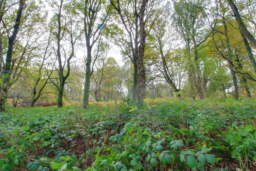 Additional image 4 of Land for saleRingshall Road, Ringshall, Berkhamsted HP4