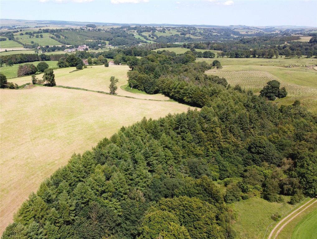 Additional image 2 of Land for saleQuarrybeck Wood, Brampton, Cumbria CA8