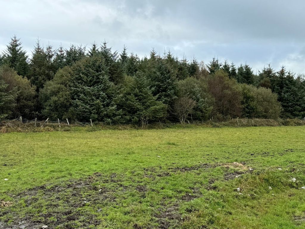 Additional image 45 of 4 bed farm for saleTrefenter, Aberystwyth SY23