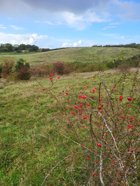 Additional image 4 of Land for saleGreat Lane, Bedford MK45