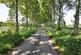 Additional image 20 of Buckland Lane, Near Staple, Canterbury, Kent, CT3