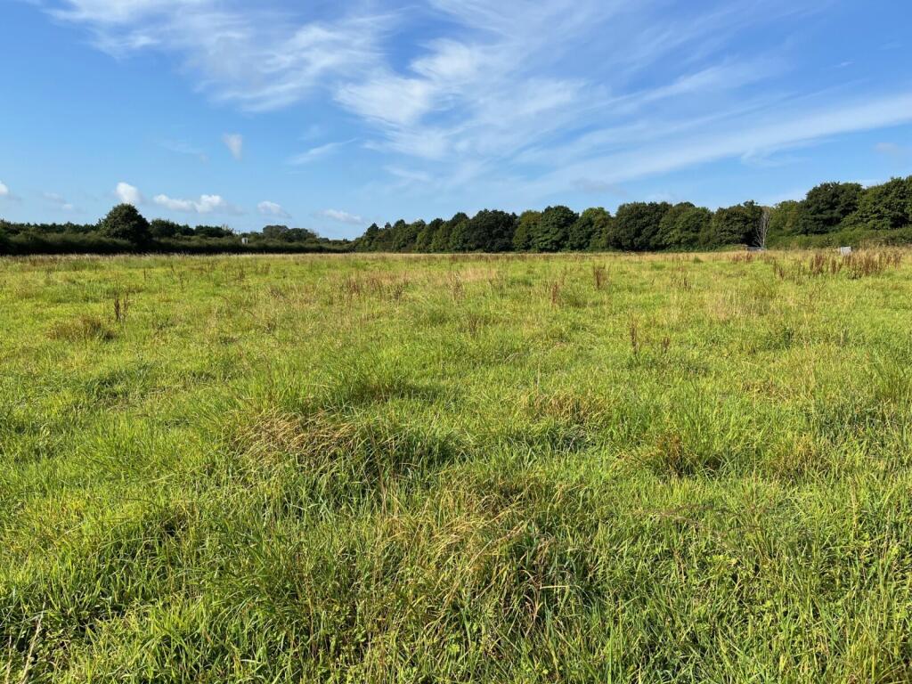 Bayford, Wincanton, Somerset, BA9 photo 4