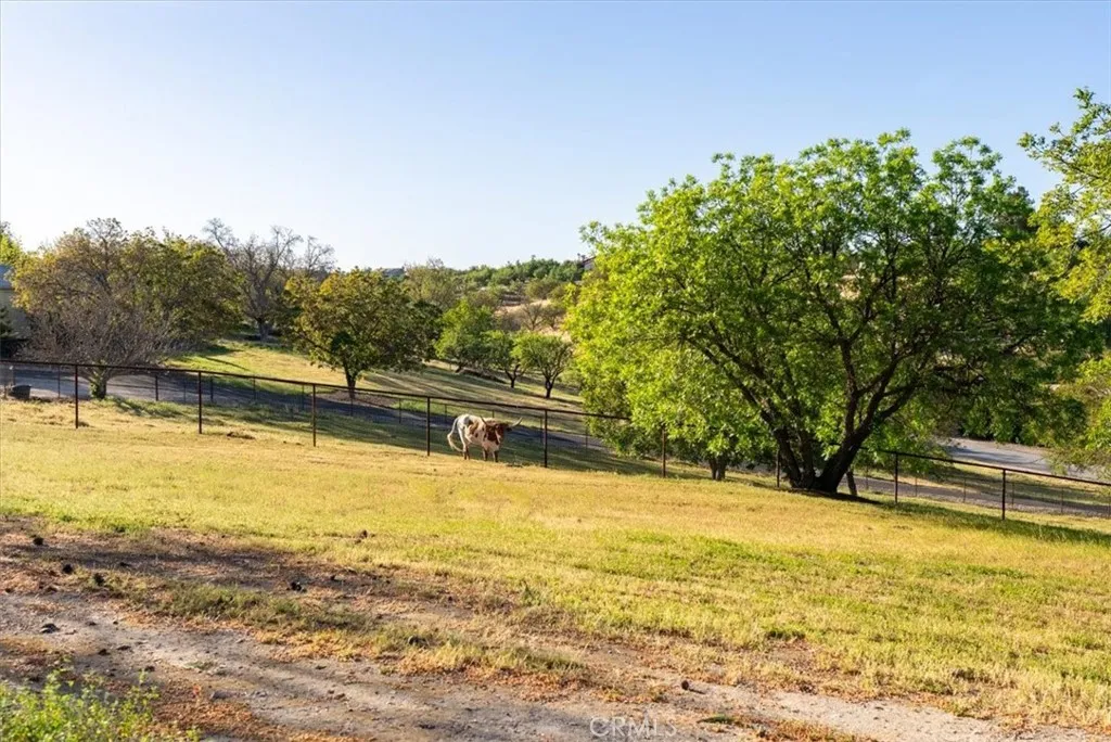 Additional image 44 of 1015 Lost Springs Ln, Paso Robles, CA 93446