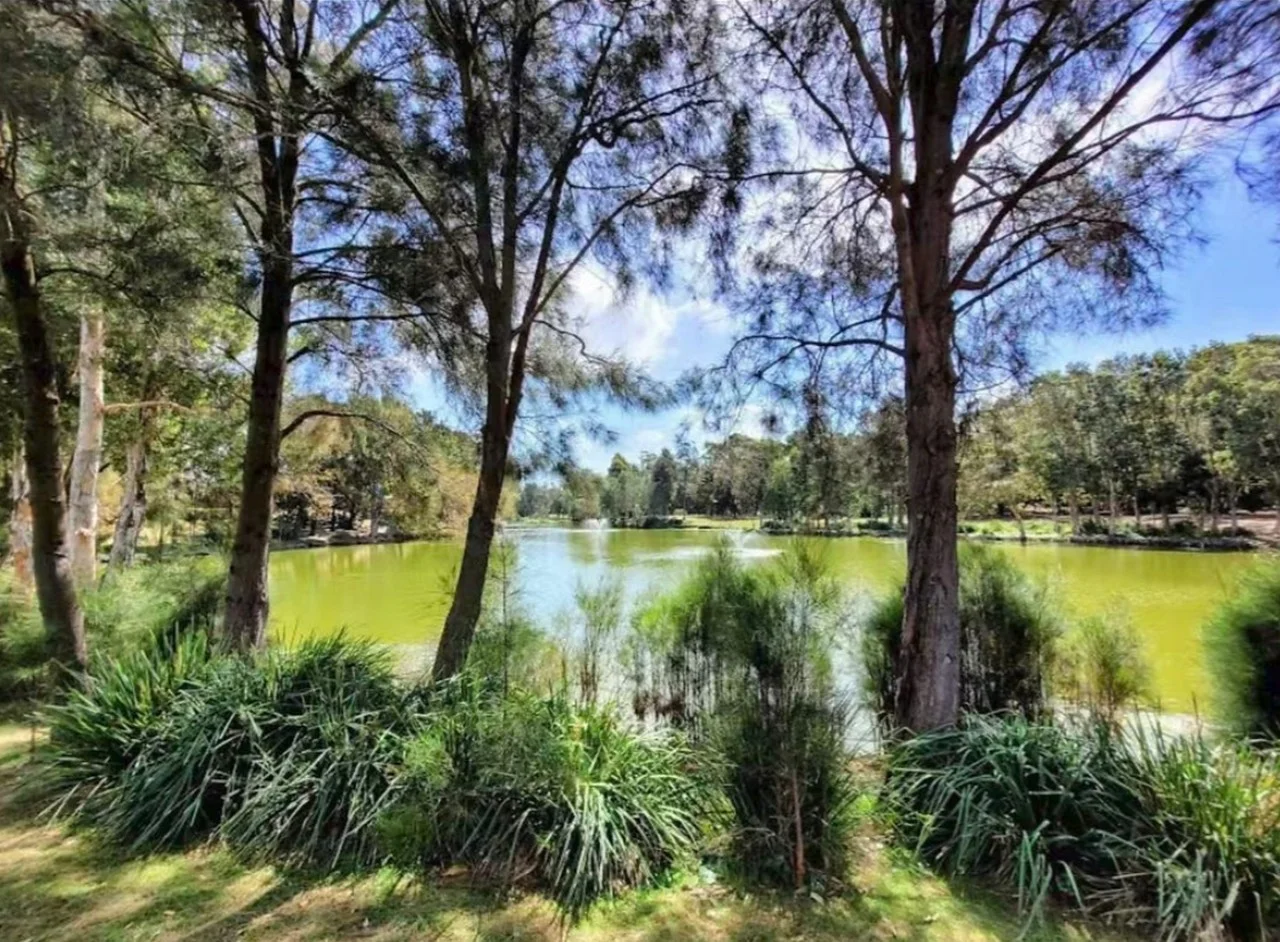 Additional image 10 of 4507/42-44 Pemberton Street, Botany NSW 2019