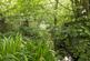 Additional image 82 of Tanygroes, Nr Aberporth, Cardigan