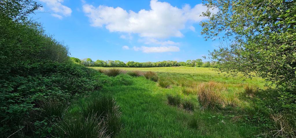 Additional image 11 of Land for saleHollacombe, Holsworthy EX22