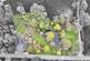 Lockley Wood, Market Drayton, TF9 photo 5