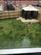 Additional image 19 of Broadacre Way, Alfreton DE55