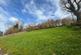 Additional image 12 of Pencarreg, Llanybydder, SA40