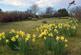 Additional image 17 of Iona Cottage, Ardtun, Bunessan, Isle Of Mull, PA67