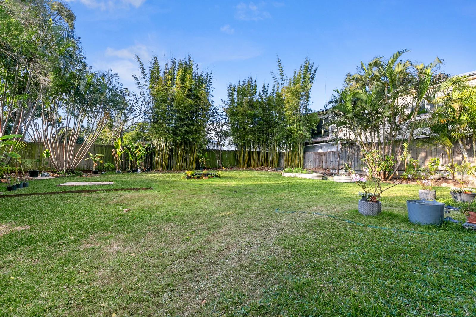 Additional image 11 of 209 Venner Road, Fairfield QLD 4103