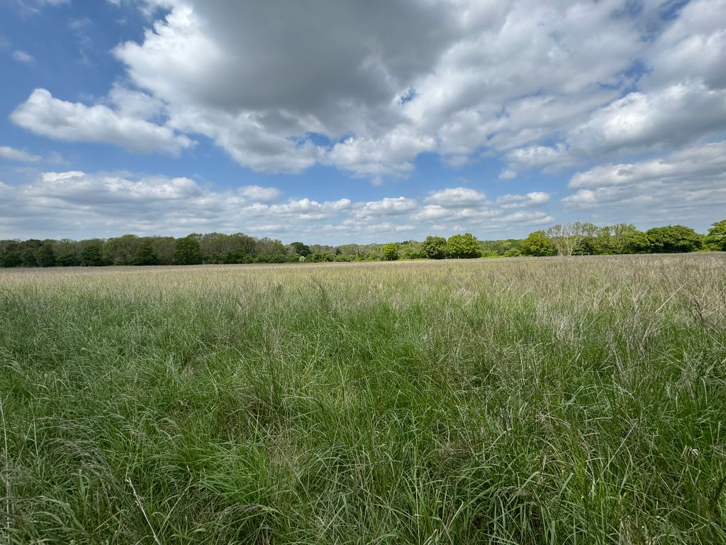 Additional image 4 of Land for saleLand At Westwood Lane, Wanborough, Guildford, Surrey GU3