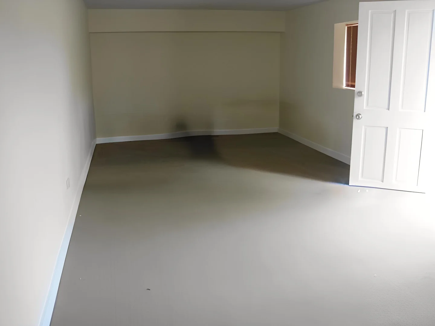 Additional image 4 of 7/103 Elizabeth Street, Ashfield NSW 2131