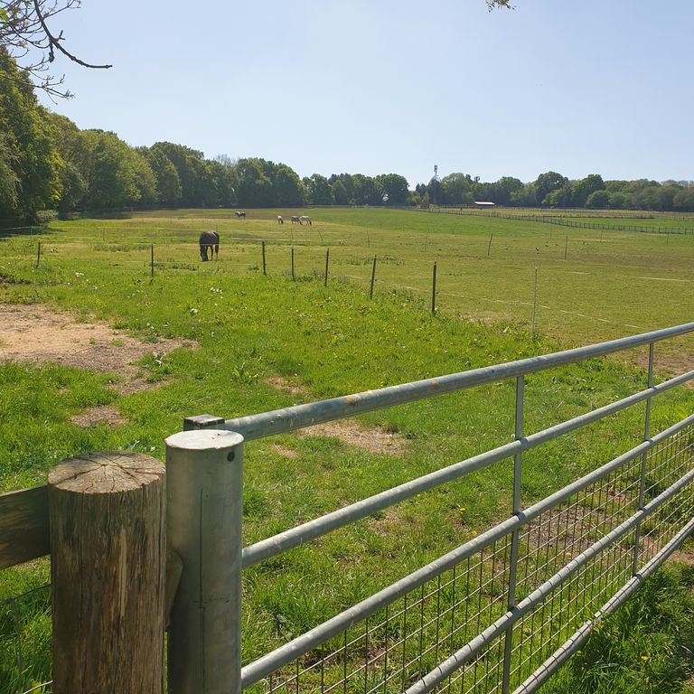Land for saleHammer Lane, Farnham GU10