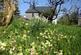 Additional image 2 of Tanygroes, Nr Aberporth, Cardigan