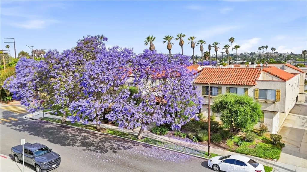 Additional image 104 of 800 Termino Avenue Unit 5, Long Beach, CA 90804