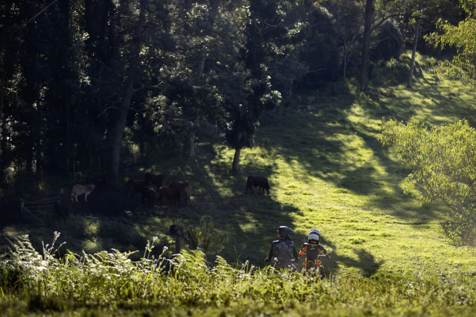 Additional image 28 of 196 Broken Bridge Road, Conondale QLD 4552