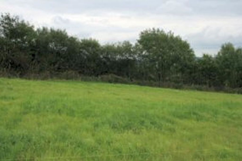 Land for salePlot A4, Hollacombe, Holsworthy, Clawton, Devon EX226Nl EX22