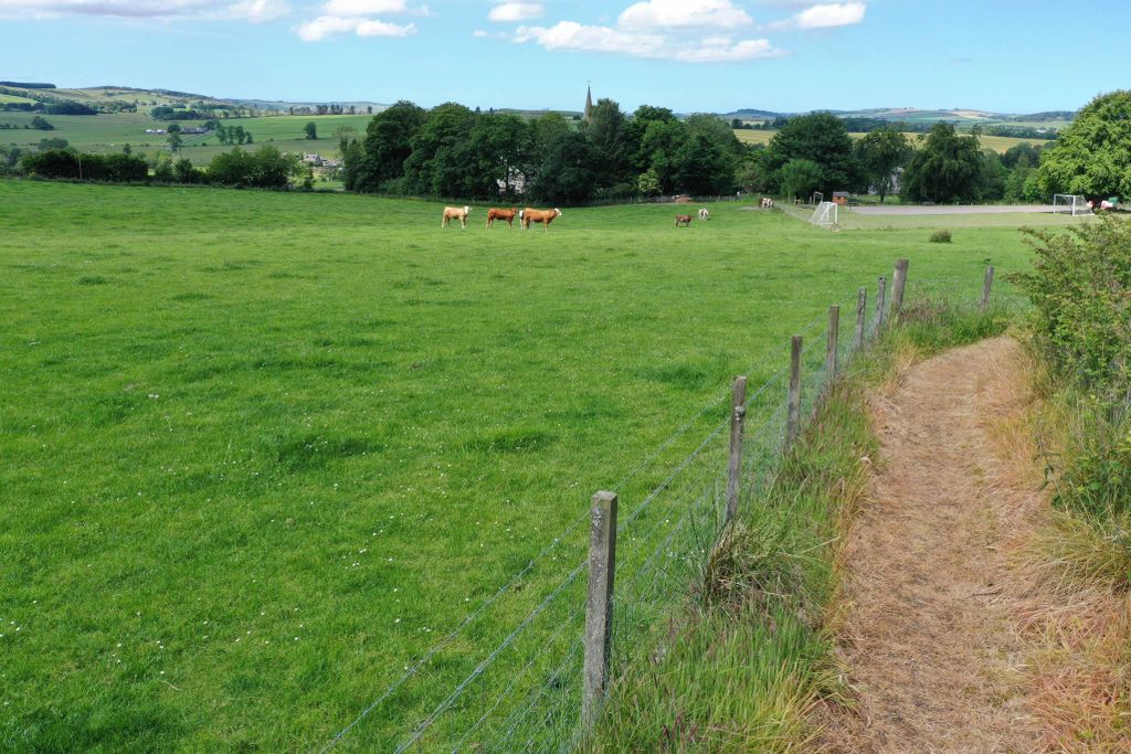 Additional image 2 of Land for saleForgue, Huntly, Aberdeenshire AB54