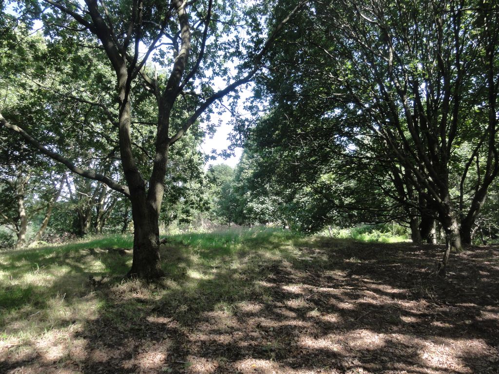 Additional image 3 of Land for saleWoodlands, Leeds LS16