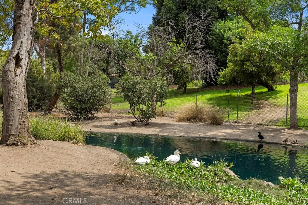 Additional image 92 of 213 Miguel Place, Fullerton, CA 92835