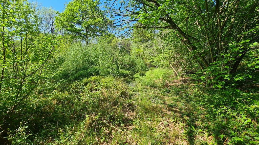 Additional image 4 of Land for saleFarley Heath, Albury, Guildford GU5