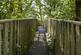 Additional image 81 of Tanygroes, Nr Aberporth, Cardigan