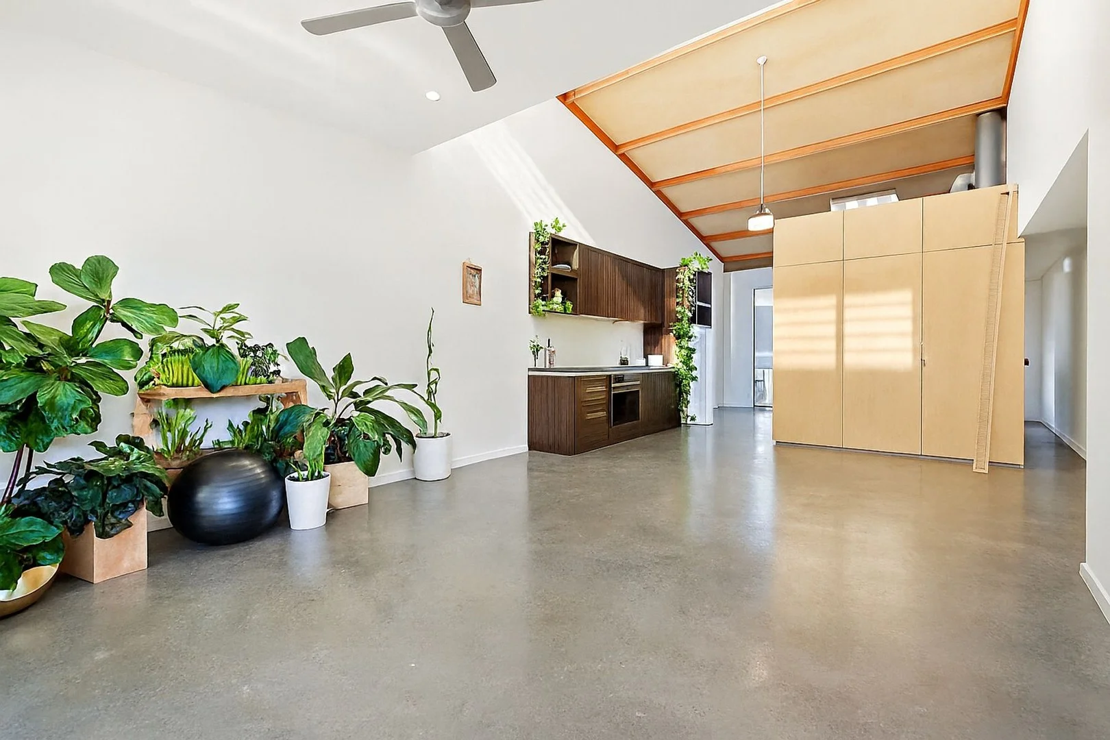 26 Parkes Avenue, Byron Bay NSW 2481