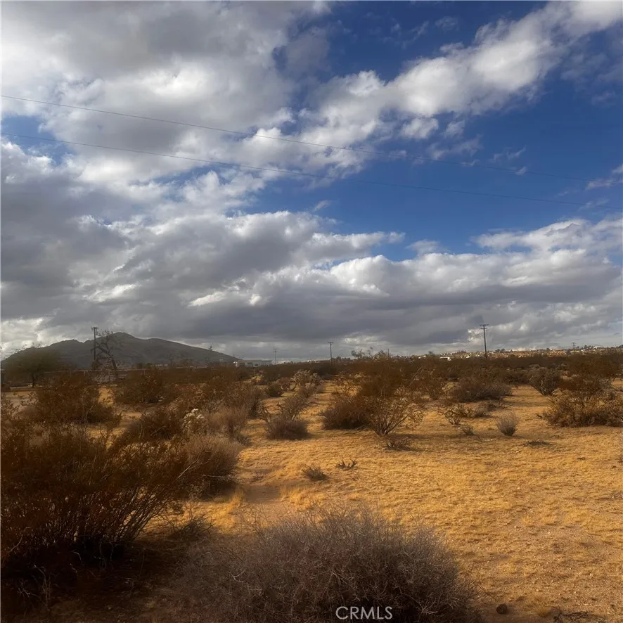 Additional image 69 of Appian Way, Joshua Tree, CA 92252