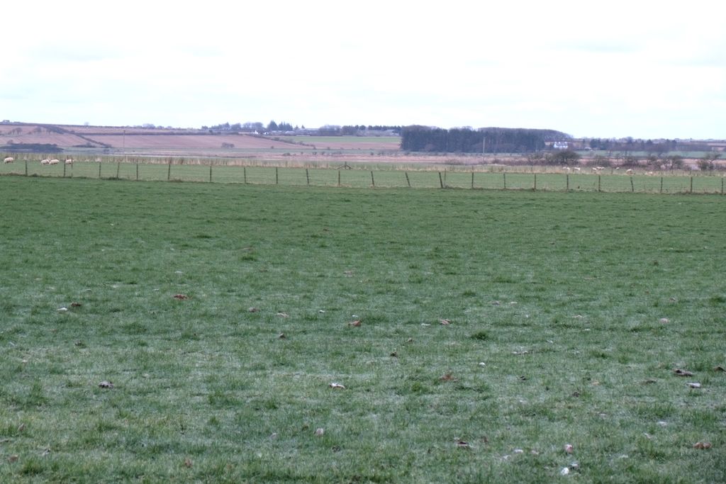 Land for saleWatten Development, Watten. KW1 photo 3
