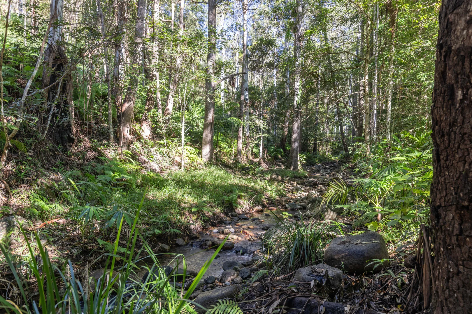 Additional image 41 of 196 Broken Bridge Road, Conondale QLD 4552